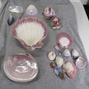 REAL Sea Shells PURPLE wide variety of sizes (all items in 1st pic) 1lb +